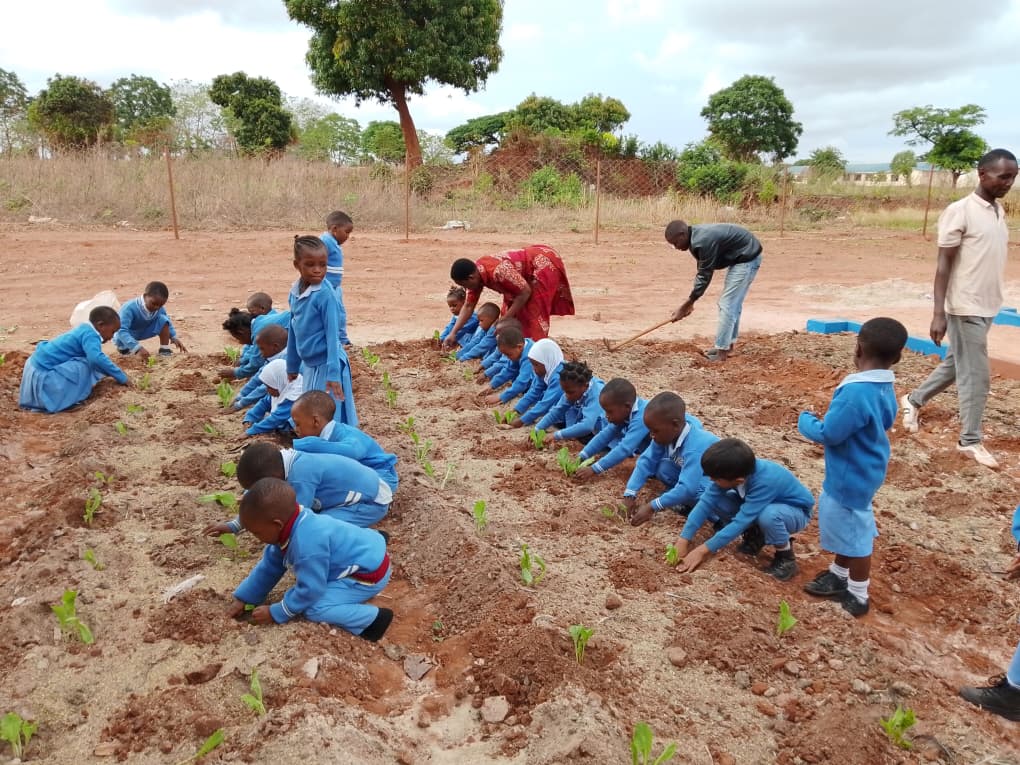 Garden Activity 1