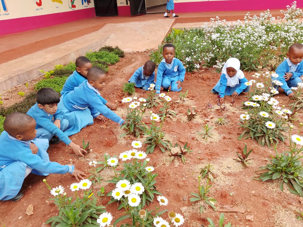 Garden Activity 3