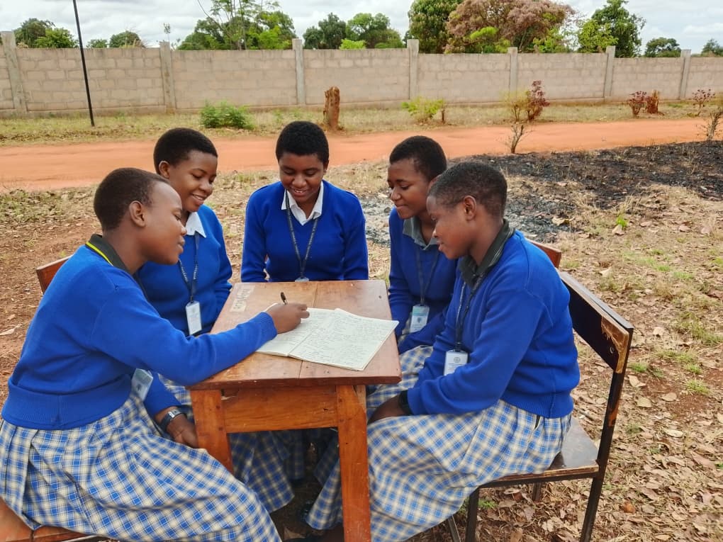 Students studying 2